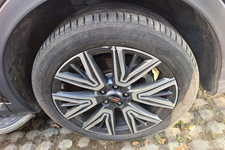 Used Hongqi HS5 2022 2.0T Smart Connect Flagship All-Wheel-Drive Version Exterior 7