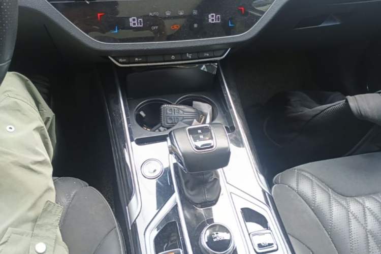 Used Hongqi HS5 2022 Facelifted Version 2.0T Smart Connect Flagship All-Wheel-Drive Edition Gear Lever