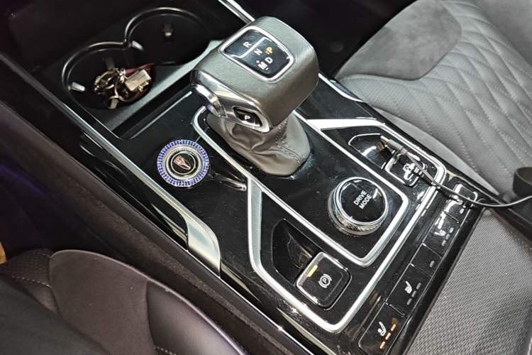 Used Hongqi HS5 2022 Revised Version 2.0T Smart Connect Flagship Edition Gear Lever