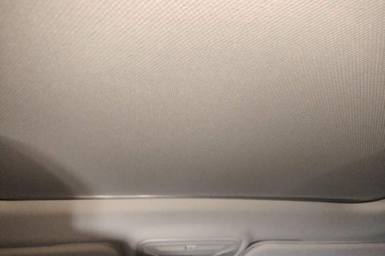 Used Hongqi HS5 2022 Revised Version 2.0T Smart Connect Flagship Edition Headliner