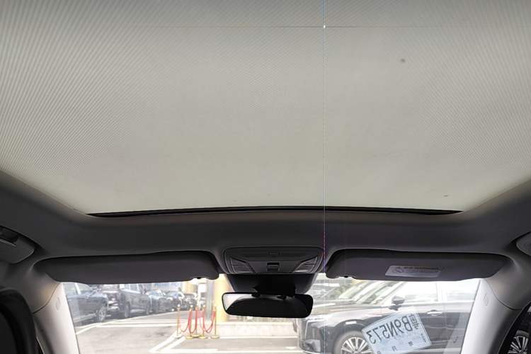 Used Hongqi HS5 2022 2.0T Smart Connect Flagship Edition Headliner