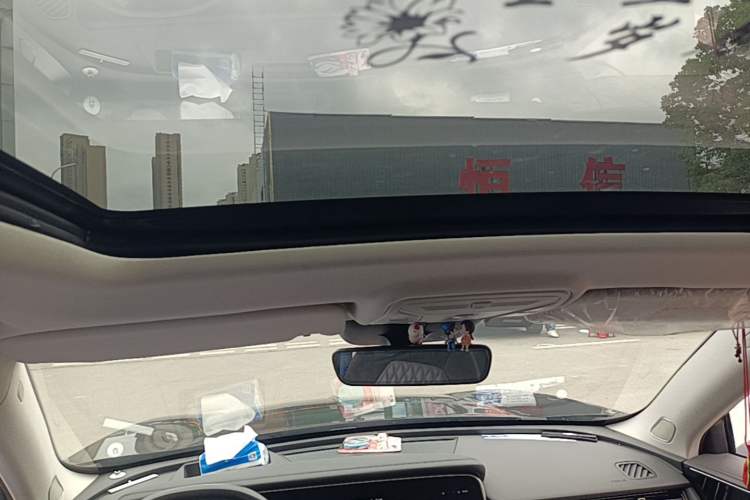Used Hongqi HS5 2022 2.0T Smart Connect Flagship Edition Headliner
