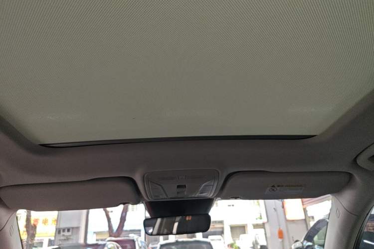 Used Hongqi HS5 2022 2.0T Smart Connect Flagship Edition Headliner