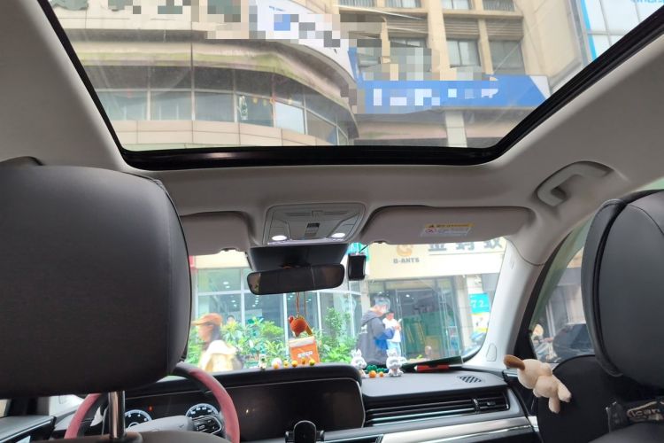 Used Hongqi HS5 2022 2.0T Smart Connect Flagship All-Wheel-Drive Version Headliner