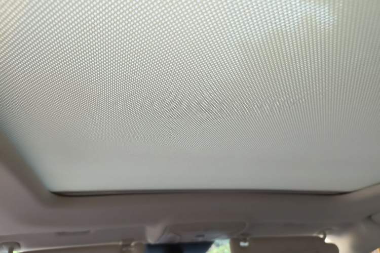 Used Hongqi HS5 2022 Revised Version 2.0T Smart Connect Flagship Edition Headliner
