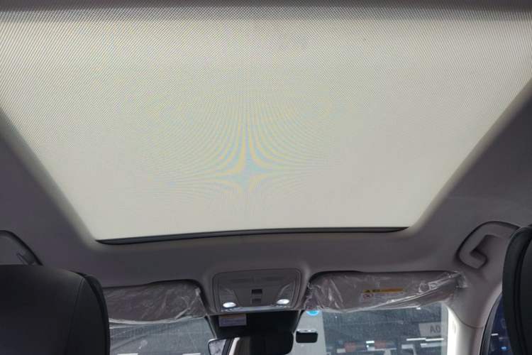Used Hongqi HS5 2022 2.0T Smart Connect Flagship Edition Headliner