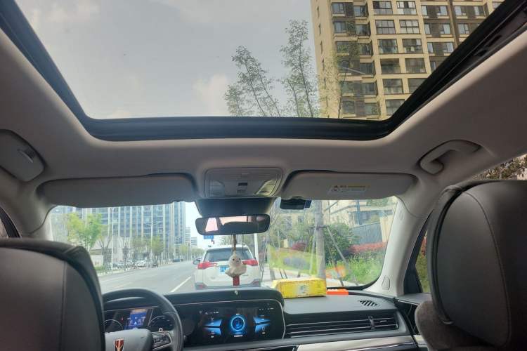 Used Hongqi HS5 2022 2.0T Smart Connect Flagship Edition Headliner