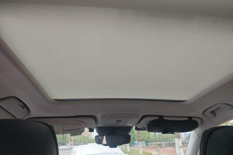 Used Hongqi HS5 2022 2.0T Smart Connect Flagship Edition Headliner