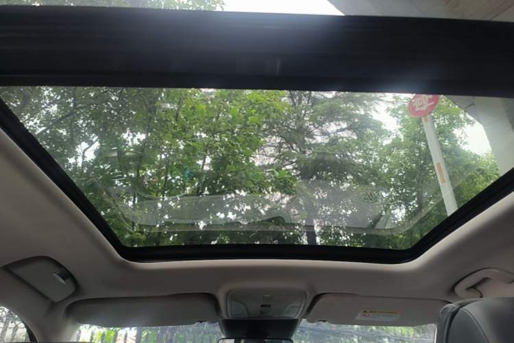 Used Hongqi HS5 2022 Facelifted Version 2.0T Smart Connect Flagship All-Wheel-Drive Edition Headliner