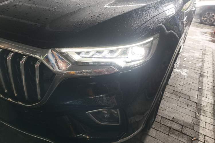 Used Hongqi HS5 2022 Revised Version 2.0T Smart Connect Flagship Edition Left Front Headlight