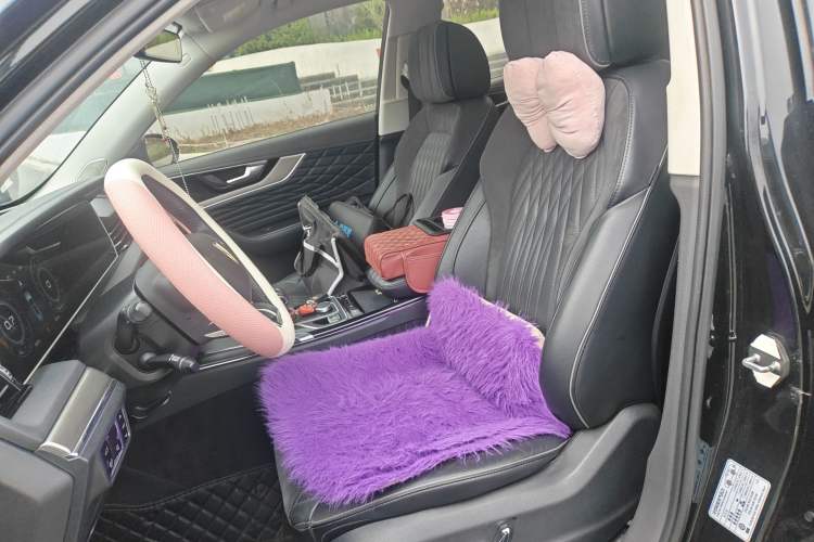 Used Hongqi HS5 2022 2.0T Smart Connect Flagship Enjoyment Purchase Edition Left Front Seat