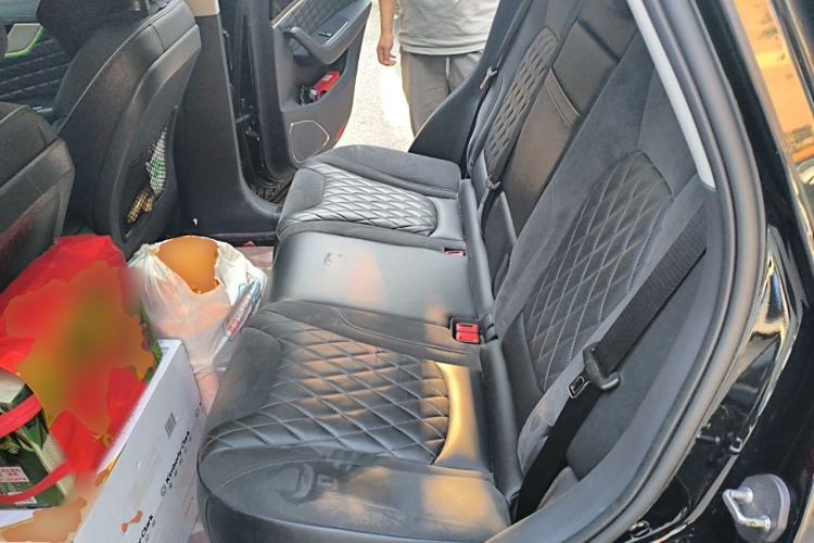 Used Hongqi HS5 2022 2.0T Smart Connect Flagship Edition Left Rear Seat