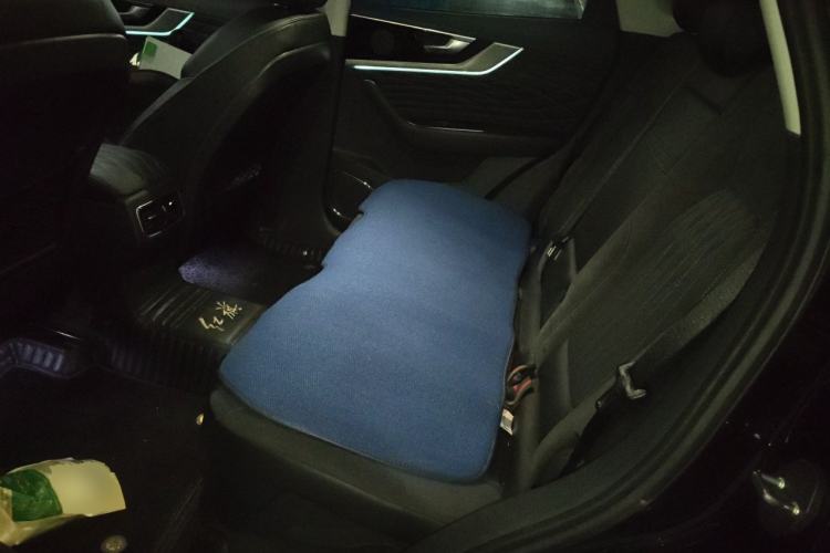 Used Hongqi HS5 2022 Facelifted Version 2.0T Smart Connect Flagship All-Wheel-Drive Edition Left Rear Seat