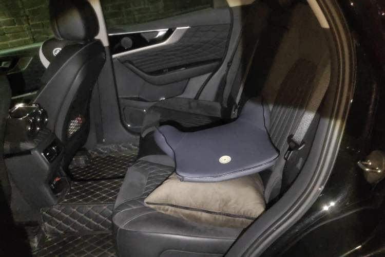Used Hongqi HS5 2022 Revised Version 2.0T Smart Connect Flagship Edition Left Rear Seat