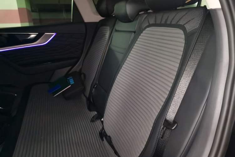 Used Hongqi HS5 2022 Facelifted Version 2.0T Smart Connect Flagship All-Wheel-Drive Edition Left Rear Seat