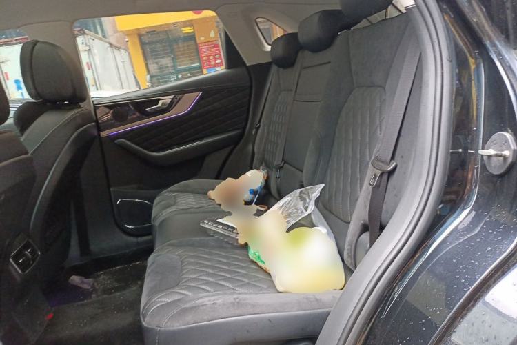 Used Hongqi HS5 2022 2.0T Smart Connect Flagship Edition Left Rear Seat