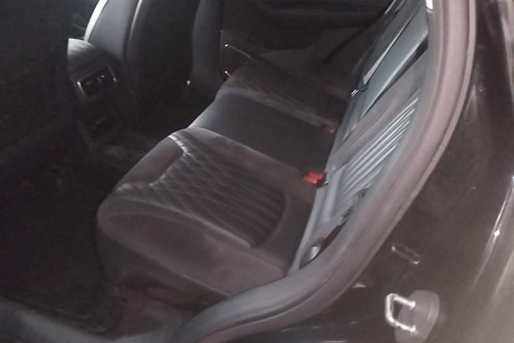 Used Hongqi HS5 2022 Facelifted Version 2.0T Smart Connect Flagship All-Wheel-Drive Edition Left Rear Seat