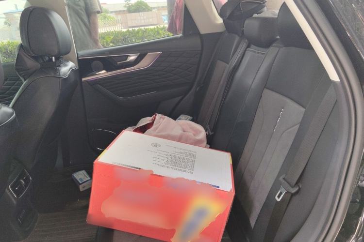 Used Hongqi HS5 2022 Revised Version 2.0T Smart Connect Flagship Edition Left Rear Seat