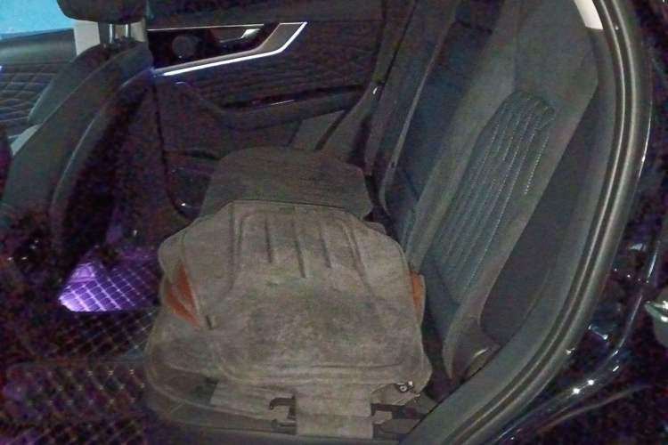 Used Hongqi HS5 2022 Revised Version 2.0T Smart Connect Flagship Edition Left Rear Seat