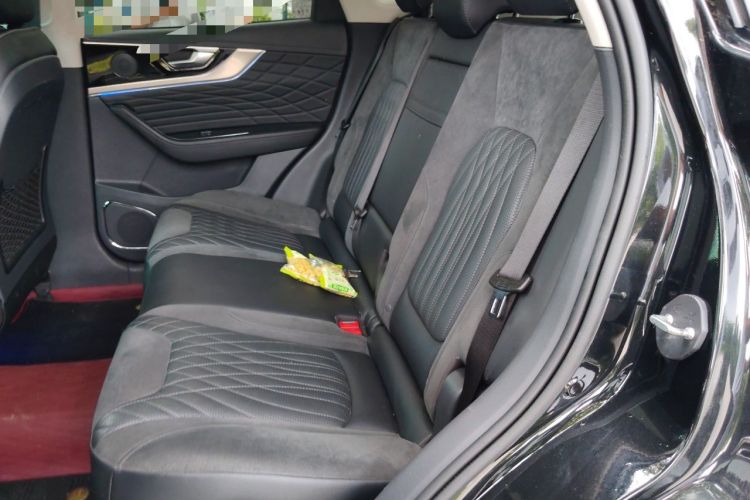 Used Hongqi HS5 2022 Facelifted Version 2.0T Smart Connect Flagship All-Wheel-Drive Edition Left Rear Seat