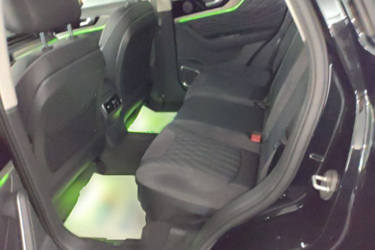 Used Hongqi HS5 2022 Facelifted Version 2.0T Smart Connect Flagship All-Wheel-Drive Edition Left Rear Seat