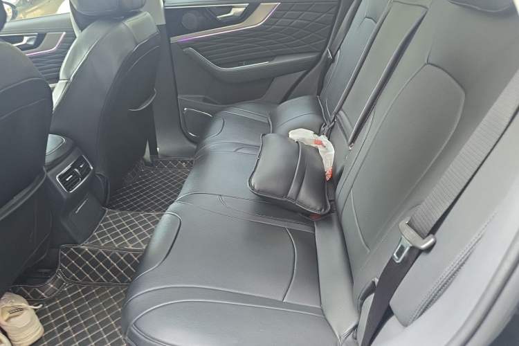 Used Hongqi HS5 2022 Revised Version 2.0T Smart Connect Flagship Edition Left Rear Seat