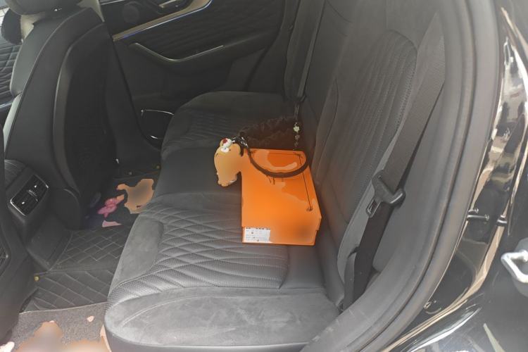 Used Hongqi HS5 2022 Facelifted Version 2.0T Smart Connect Flagship All-Wheel-Drive Edition Left Rear Seat