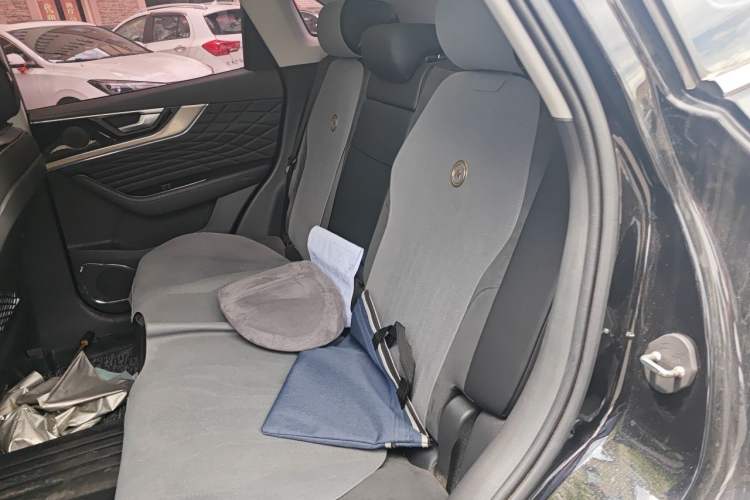 Used Hongqi HS5 2022 Revised Version 2.0T Smart Connect Flagship Edition Left Rear Seat