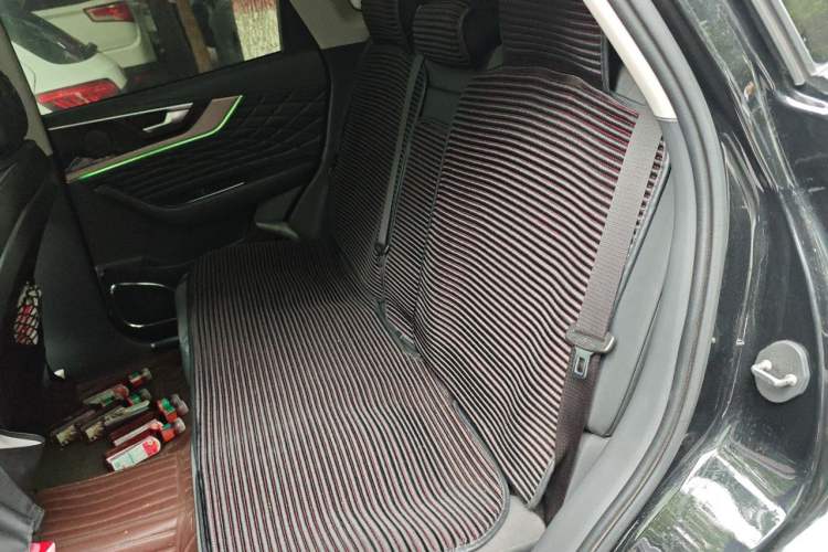 Used Hongqi HS5 2022 Facelifted Version 2.0T Smart Connect Flagship All-Wheel-Drive Edition Left Rear Seat