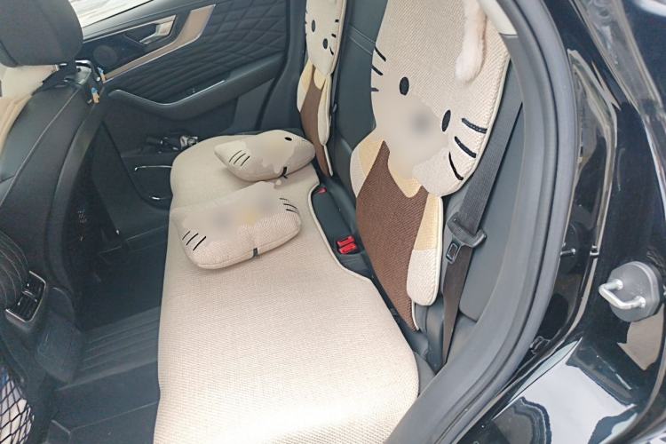 Used Hongqi HS5 2022 2.0T Smart Connect Flagship Edition Left Rear Seat