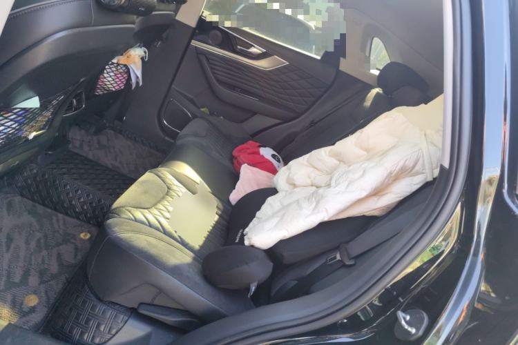 Used Hongqi HS5 2022 2.0T Smart Connect Flagship All-Wheel-Drive Version Left Rear Seat