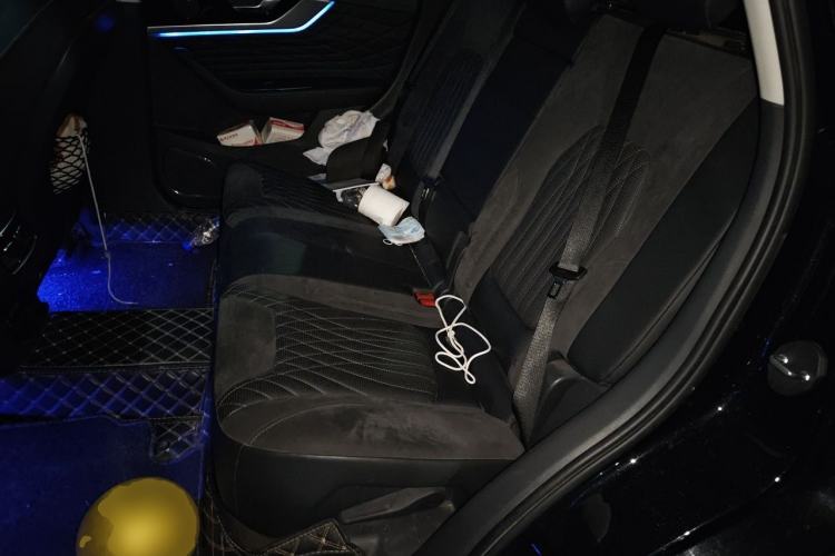Used Hongqi HS5 2022 Revised Version 2.0T Smart Connect Flagship Edition Left Rear Seat