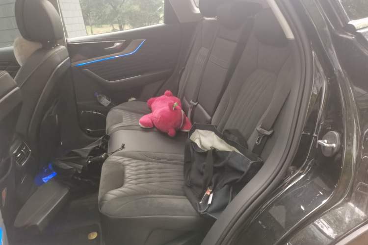 Used Hongqi HS5 2022 Revised Version 2.0T Smart Connect Flagship Edition Left Rear Seat