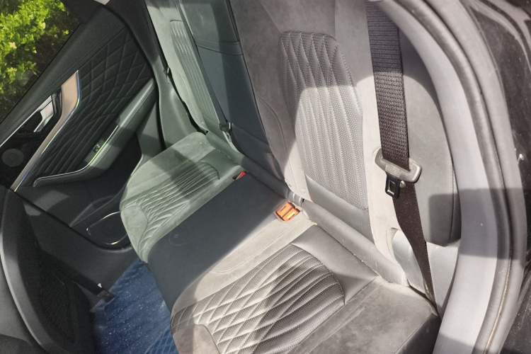 Used Hongqi HS5 2022 Facelifted Version 2.0T Smart Connect Flagship All-Wheel-Drive Edition Left Rear Seat