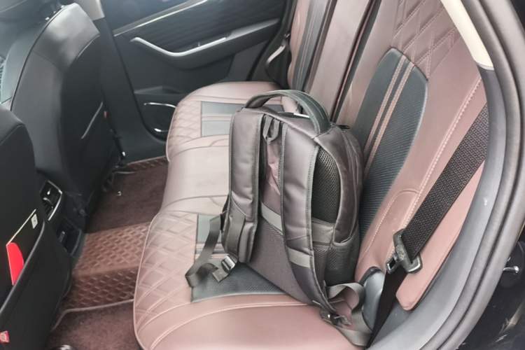 Used Hongqi HS5 2022 Revised Version 2.0T Smart Connect Flagship Edition Left Rear Seat