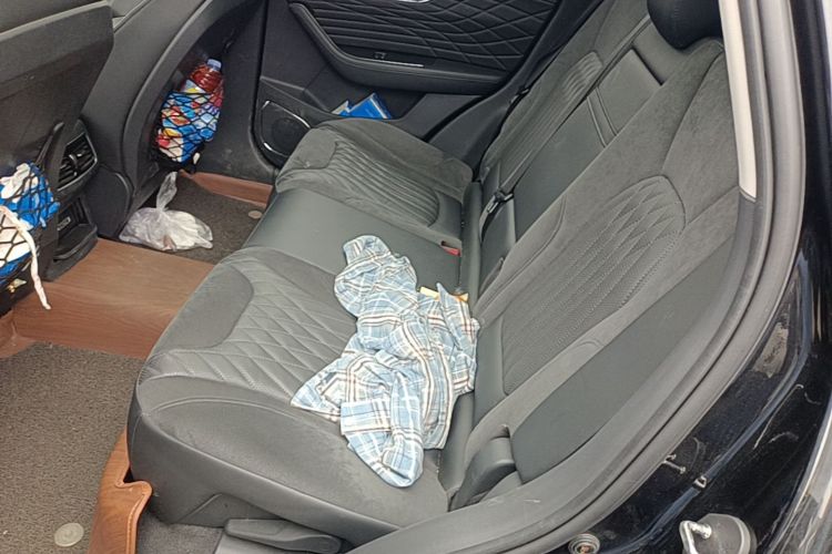 Used Hongqi HS5 2022 2.0T Smart Connect Flagship Edition Left Rear Seat
