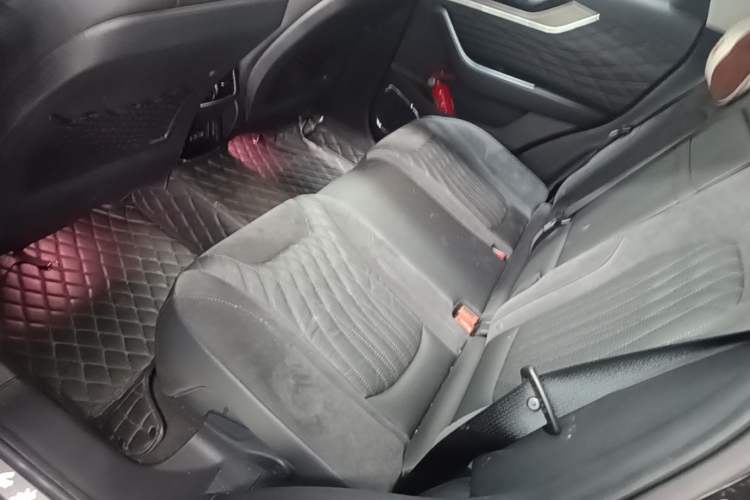 Used Hongqi HS5 2022 Revised Version 2.0T Smart Connect Flagship Edition Left Rear Seat