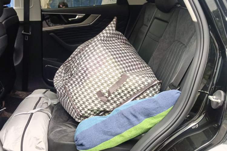 Used Hongqi HS5 2022 2.0T Smart Connect Flagship All-Wheel-Drive Version Left Rear Seat