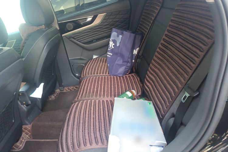 Used Hongqi HS5 2022 Revised Version 2.0T Smart Connect Flagship Edition Left Rear Seat