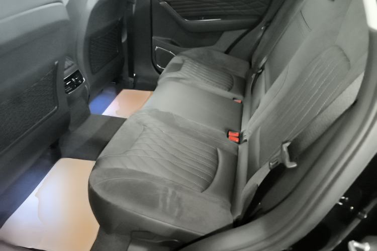 Used Hongqi HS5 2022 Facelifted Version 2.0T Smart Connect Flagship All-Wheel-Drive Edition Left Rear Seat