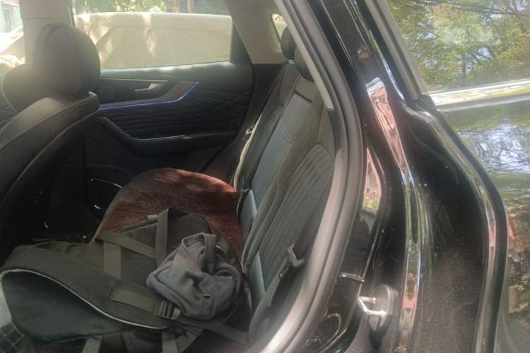 Used Hongqi HS5 2022 Revised Version 2.0T Smart Connect Flagship Edition Left Rear Seat