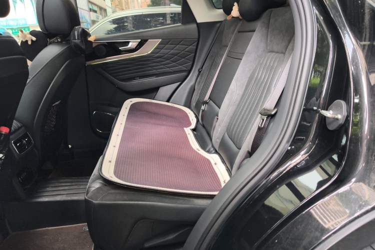 Used Hongqi HS5 2022 2.0T Smart Connect Flagship All-Wheel-Drive Version Left Rear Seat