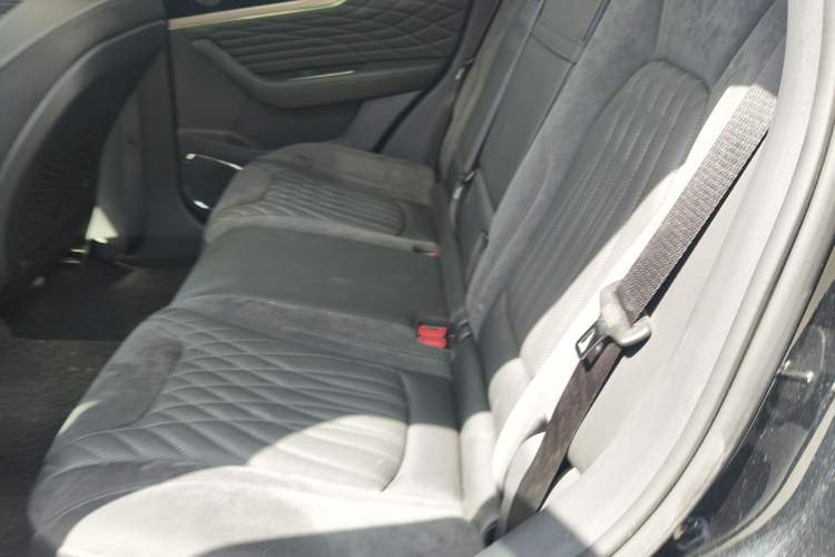 Used Hongqi HS5 2022 2.0T Smart Connect Flagship All-Wheel-Drive Version Left Rear Seat