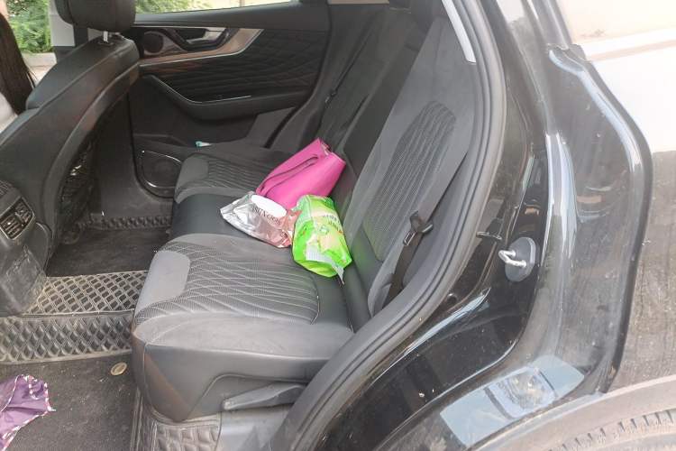 Used Hongqi HS5 2022 Revised Version 2.0T Smart Connect Flagship Edition Left Rear Seat