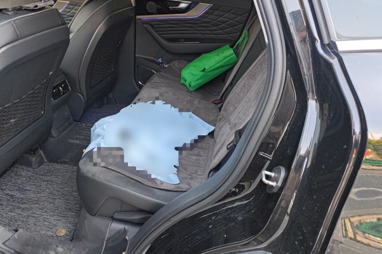Used Hongqi HS5 2022 Facelifted Version 2.0T Smart Connect Flagship All-Wheel-Drive Edition Left Rear Seat