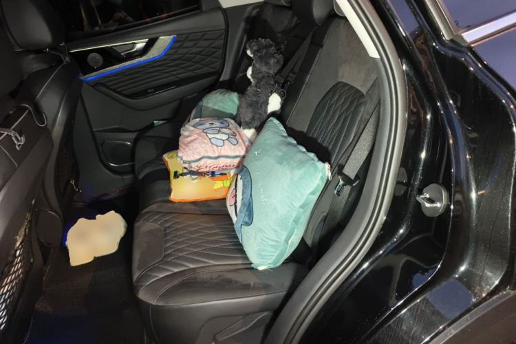 Used Hongqi HS5 2022 2.0T Smart Connect Flagship All-Wheel-Drive Version Left Rear Seat