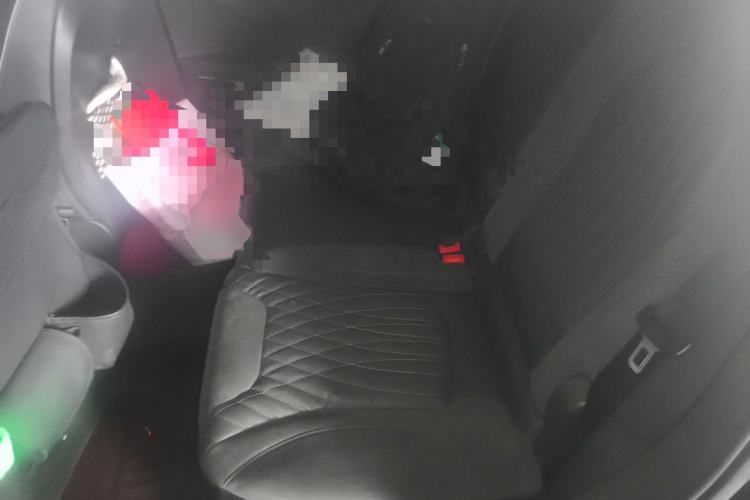 Used Hongqi HS5 2022 Facelifted Version 2.0T Smart Connect Flagship All-Wheel-Drive Edition Left Rear Seat