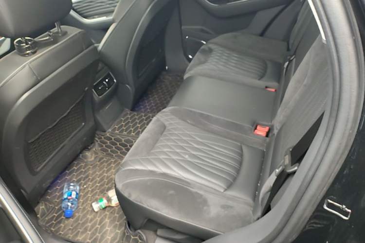 Used Hongqi HS5 2022 Facelifted Version 2.0T Smart Connect Flagship All-Wheel-Drive Edition Left Rear Seat