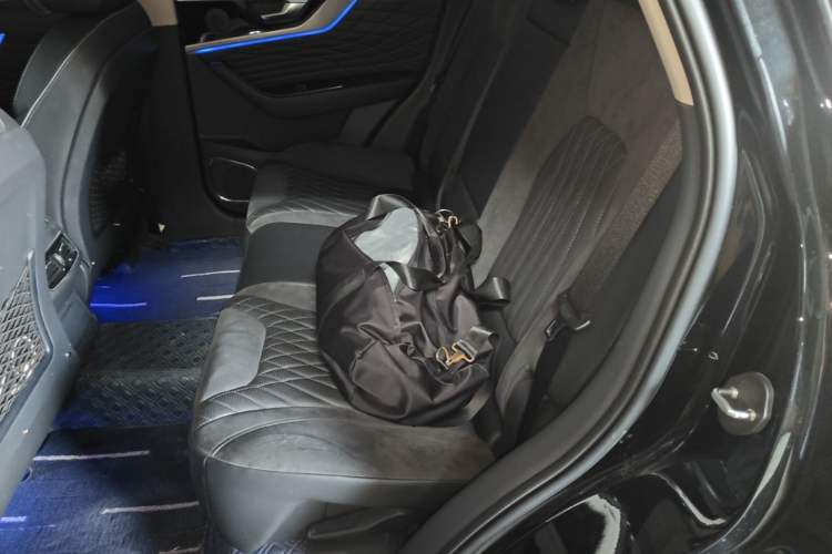 Used Hongqi HS5 2022 Revised Version 2.0T Smart Connect Flagship Edition Left Rear Seat