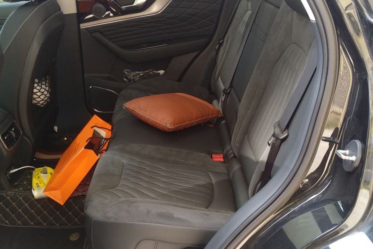 Used Hongqi HS5 2022 Facelifted Version 2.0T Smart Connect Flagship All-Wheel-Drive Edition Left Rear Seat